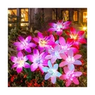Aukora Solar Garden Lights Outdoor 10 Pack, 5 Colors Lily Flowers & 7-COLOR C.... Fixed Price $75.93.