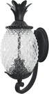 Acclaim 7501BK Lanai Collection 2-LIGHT Wall Mount Outdoor 7.5 X 18, Black. Fixed Price $222.99.