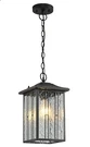 Smeike Light Fixture Pendant Led Lantern Outdoor Porch Adjustable Black. Fixed Price $48.00.