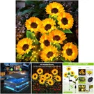 3 Pack Outdoor Garden Decor Solar Lights Sunflower Waterproof Auto On/off. Fixed Price $56.69.