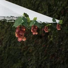Keeda Solar String Lights With Vines, Waterproof 80 Led Grape O.... Fixed Price $75.89.