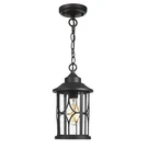 Zeyu Outdoor Pendant Light For Porch - 12 Inch Farmhouse Exterior Hanging Lan.... Fixed Price $78.61.