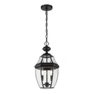 Z-lite Westover 2 Light Outdoor Chain Mount Ceiling, Black/beveled 580CHM-BK. Fixed Price $206.55.