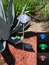 Set Of 2 Garden Decoration Exquisite Rose Flower Solar Color Change Light. Fixed Price $22.99.
