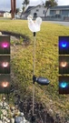 Set Of 2 Garden Clear Acrylic Rooster Solar Yard Stick Color Change Light. Fixed Price $22.99.