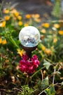 4-PK Outdoor Stainless Steel Solar Glass Crackle Ball Light Color Changing Led. Fixed Price $22.99.