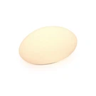 Dals Lighting DCP-RK18 Single Kayu 15"W 24V Led Flood White. Fixed Price $179.36.