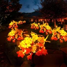 4PACK Solar Fall Lights With 160 Maple Leaves For Outdoor Decor. Fixed Price $44.99.