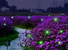Wskvlcg Outdoor Solar Powered Firefly Lights Bugs, Flickering Fireflies Strin.... Fixed Price $23.68.