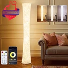 World Win Led Floor Lamp For Living Room, 61'' Modern With 3.... Fixed Price $62.34.