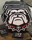 Georgia Bulldogs Led Light Box Ncaa Sec Football Basketball. Fixed Price $50.00.
