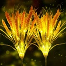 Idefair Solar Flowers Lights Outdoor, 2 Pack Garden Stake Wheat E.... Fixed Price $37.39.