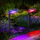 Osord Color Solar Pathway Lights, 4-PACK Changing Outdoor .... Fixed Price $61.84.