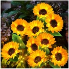 3 Pack Solar Garden Lights - Beautiful Sunflower Design. Fixed Price $62.99.