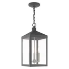 Livex Nyack Light Outdoor Pendant Lantern, Scandinavian Gray 20593-76. Fixed Price $499.96.