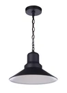 Craftmade Lighting Singleton Outdoor PENDANT-9 Inches Tall And 14. Fixed Price $99.99.