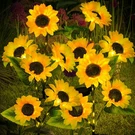 Solar Garden Lights 4 Pack 12 Led Sunflower Waterproof Outdoor Stake Illuminew. Fixed Price $59.99.