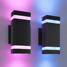 Rgb Color Changing Outdoor Wall Light, App & Voice Control, Etl Listed. Fixed Price $199.99.