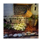 Anordsem Solar Lanterns Outdoor For Women: Metal Flower Watering Ca... Fast Ship. Fixed Price $40.10.