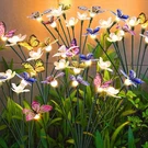 Fensan Solar Garden LIGHTS,2PACKS-16LED,OUTDOOR Powered Decor For Yard,.... Fixed Price $22.16.