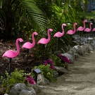 Brylanehome Flamingo Solar Stake Lights, Set Of 10 - Multi. Fixed Price $59.99.