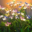 Fensan Solar Garden LIGHTS,2PACKS-16LED,OUTDOOR Powered Butterfly. Fixed Price $24.50.