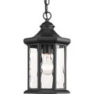 Progress Lighting P6529 Black Edition 7"W Pendant. Fixed Price $144.99.