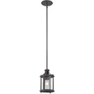 Designers Fountain 87530-APW Palencia Mini Pendant Artisan Pardo Wash. Fixed Price $79.99.
