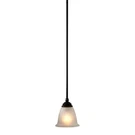 Progress 1 Mini Pendant Lighting Fixture Frosted Edged Glass Forged Bronze. Fixed Price $79.99.