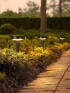 6 Pack 2CCT Solar Landscape Pathway Lights Outdoor, Auto Dusk Dawn, Black. Fixed Price $49.99.