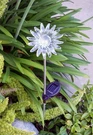 2-PC Outdoor Solar Garden Sun Flower Yard Stake Color Change Led Light. Fixed Price $22.99.