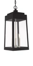 Livex Lighting 20860 Black Oslo 3-LIGHT 11"W Pendant. Fixed Price $899.96.
