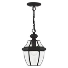 Livex Lighting 2152-04 Monterey 1-LIGHT Outdoor Hanging Lantern, Black. Fixed Price $169.18.