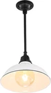 JYL7611A Jasper 12.25" 1-LIGHT Farmhouse Industrial Indoor/outdoor Iron Led Roun. Fixed Price $105.99.