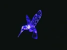 Hummingbird Solar Garden Stake Light Decor New Unique Design And Placement. Fixed Price $8.99.