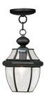 Livex Lighting 2152-04 Monterey 8.5 Inch Black Outdoor Pendant Lantern. Fixed Price $183.96.