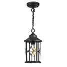 Zeyu Outdoor Pendant Light For Porch - 12 Inch Farmhouse Exterior Hanging Lan.... Fixed Price $133.22.