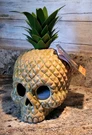 Hyde & Eek Pineapple Skull Halloween Light Up Home Decor Target Tiki Tags. Fixed Price $39.99.