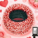 470FT 1500LED Lights Indoor Outdoor, 12 Modes Red Valentines Day Decor. Fixed Price $54.43.