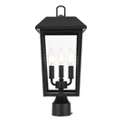 Elegant Lighting Riggs X 18" Outdoor Post Black. Fixed Price $136.00.