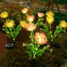 Aureate Horizon Solar Flowers Garden Lights Outdoor Waterproof Decorative Yard B. Fixed Price $53.84.