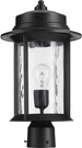 Elegant Black Outdoor Post Lantern With Clear Hammered Glass - 17". Fixed Price $230.99.