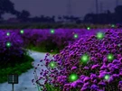 Wskvlcg Outdoor Solar Powered Firefly Lights Bugs With 9 Bee, Flickering. Fixed Price $18.71.