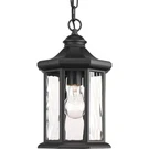 Progress Lighting Edition 1-LIGHT Textured Black Clear Water Glass Outdoor. Fixed Price $53.86.