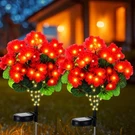 2 Pcs Solar Geraniums Lights Outdoor Waterproof For Garden Spring Decor Light.... Fixed Price $24.09.