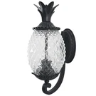 Acclaim 7501BK Lanai Collection 2-LIGHT Wall Mount Outdoor Fixture, Mat.... Fixed Price $255.25.